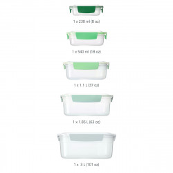 Set 5 cutii cu capac Joseph Joseph Nest 81127, 5 dimensiuni, Polipropilena, Verde/Alb