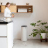 Cos de gunoi Brabantia Touch Bin New 1005544, 30 L, Golire silentioasa si lina, Bej