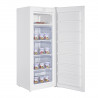 Congelator Tesla RU1700HE, 100W, 168L, Clasa de energie E, Ușă reversibilă, Funcționare silențioasă, Alb