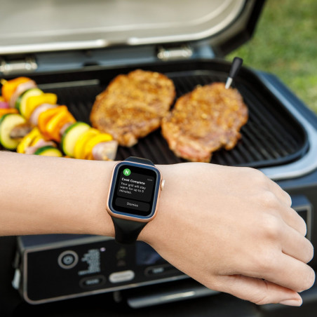 Termometru de bucătărie Ninja ProChef WP100EU, Bluetooth, aplicație mobilă, senzor de temperatură interioară și ambientală, până la 370C, negru/argintiu