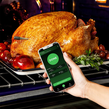 Termometru de bucătărie Ninja ProChef WP100EU, Bluetooth, aplicație mobilă, senzor de temperatură interioară și ambientală, până la 370C, negru/argintiu