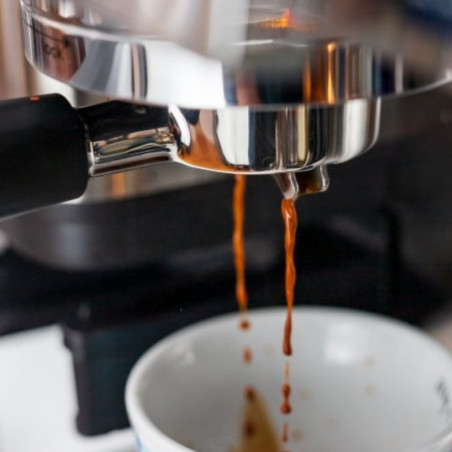 Espressor automat 3in1 Ninja Luxe Café Premier ES601, 1650W, 15 bar, 2 L, Barista Assist, Spumare fara contact, Rasnita incorporata, 4 moduri, 3 setari temperatura, Inox/Negru