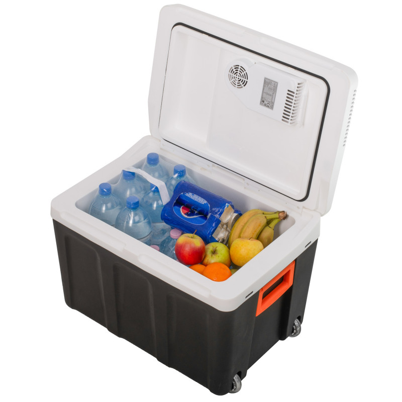 Lada frigorifica Adler AD 8090, 40 l, 58 W, 12/220/240V, Clasa climatica N, Izolatie C5H10, Gri