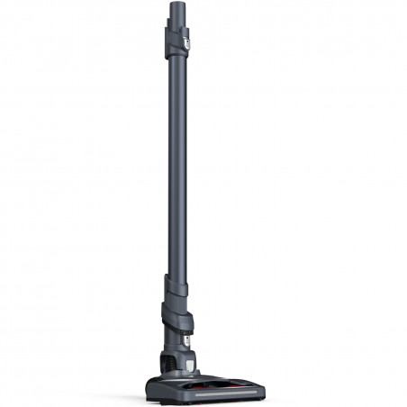Aspirator vertical Rowenta X-Pert 6.60 Animal Care RH6878WO, 100W, 2 moduri, 0.6 litri, 85 dB, Autonomie 1 h, LED, Rosu/Negru