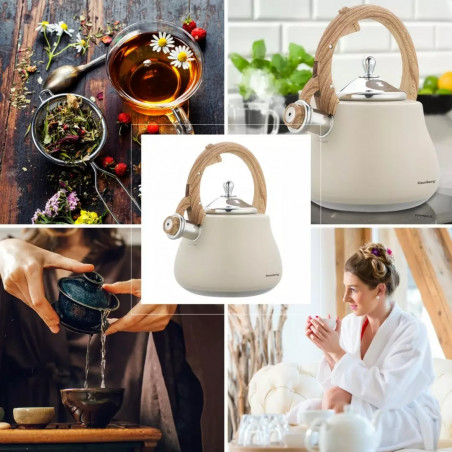 Klausberg KB 7919 Fierbător cu vârtej, 2,8 l, Mâner izolat termic, Inducție, Bej