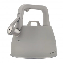 Ceainic cu fluier Klausberg KB 7916, 2.5 l, Maner izolat termic, Inductie, Inox