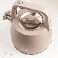 Ceainic cu fluier Klausberg KB 7916, 2.5 l, Maner izolat termic, Inductie, Inox