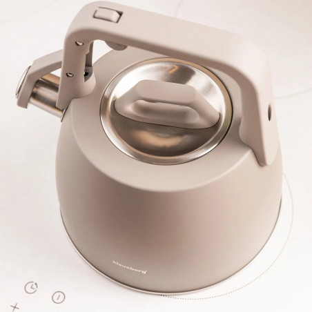 Ceainic cu fluier Klausberg KB 7916, 2.5 l, Maner izolat termic, Inductie, Inox