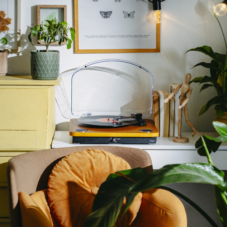 Pick-up cu difuzoare incorporate Adler AD 1914, Semiautomat, 7"/10"/12", Adaptor 45 RPM, RCA, Bluetooth 5.4, USB Inregistrare, Lemn / Negru