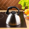 Fierbător fluierător Klausberg KB 7951, 2.5 l, Oțel inoxidabil, Mâner termoizolant, Inducție, Onix mat