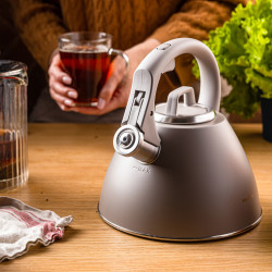 Fierbător fluierător Klausberg KB 7953, 2.5 l, Oțel inoxidabil, Mâner termoizolant, Inducție, Bej