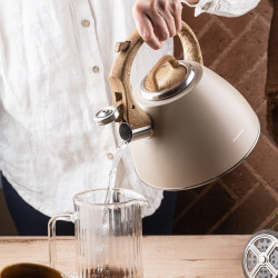 Чайник Klausberg KB 7954