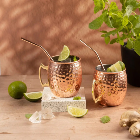 Set de pahare pentru Moscow Mule Kinghoff KH 2000, 2 buc, 500ml, 2 paie, oțel inoxidabil, cupru