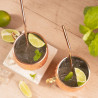 Set de pahare pentru Moscow Mule Kinghoff KH 2000, 2 buc, 500ml, 2 paie, oțel inoxidabil, cupru