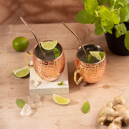 Set de pahare pentru Moscow Mule Kinghoff KH 2000, 2 buc, 500ml, 2 paie, oțel inoxidabil, cupru