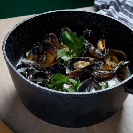 Caserolă cu capac Royalty Line RL-FSN20, 20 cm, 2.1 l, finisaj granit, inducție, negru