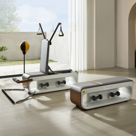 Multifuncțional Xiaomi KingSmith FBB1C, 2 grade de înclinare, corp complet, pliabil, 15 accesorii, alb / maro