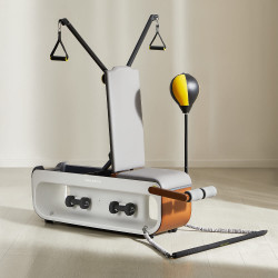 Multifuncțional Xiaomi KingSmith FBB1C, 2 grade de înclinare, corp complet, pliabil, 15 accesorii, alb / maro