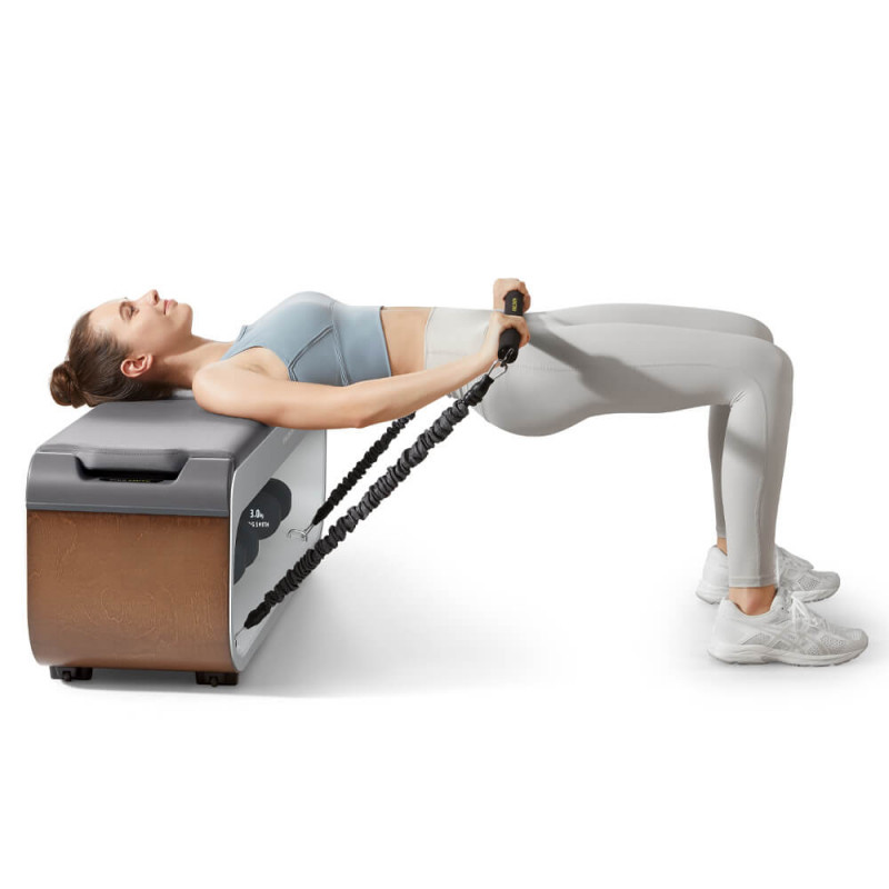 Multifuncțional Xiaomi KingSmith FBB1C, 2 grade de înclinare, corp complet, pliabil, 15 accesorii, alb / maro