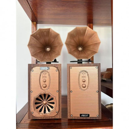 Boxa portabila cu radio Bluetooth Ashu AS39, 1x8W, 1200mAh, Pana la 10m, Pana la 5-6 h, TWS, card TF, USB (disc U), AUX, FM, Maro