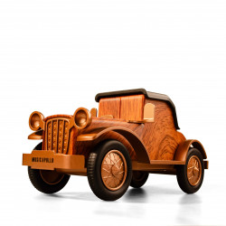 Boxa portabila cu radio...