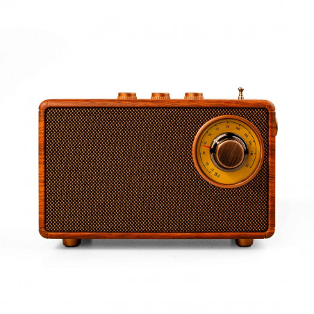 Boxa portabila cu radio Bluetooth Ashu AS23, 5 W, Pana la 10m, Pana la 5-8 h, TWS, Card TF, USB (disc U), AUX, 1500 mAh, Maro