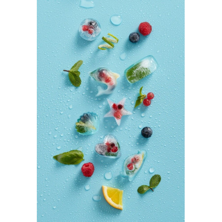 Forma cuburi de gheata cu capac Lekue 1009042, 22 x 11 x 2,3 cm, 11 delfini, -40 +60 °C, Albastru