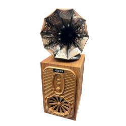 Boxa portabila cu radio...