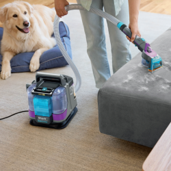 Aspirator cu spalare Shark StainStriker PX250EUT, 450 W, 0,72 l, Portabil, Par animale de companie, 4 accesorii, Gri/Negru