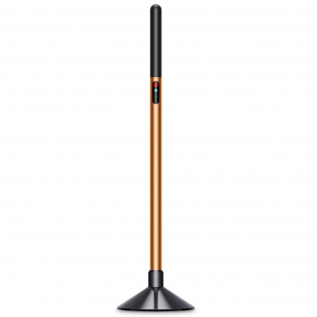 Aparat vertical pentru curatare umeda Dyson PencilWash WR04 637239-01, 300/340 ml, 30 min, 100 m², 2 moduri, Autopropulsie, Inclinare de 170°, LED, Negru/Auriu