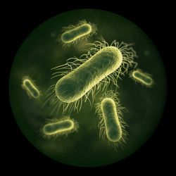 Aparat curatare uscata si umeda pentru podele Dyson Clean+Wash Hygiene 432030-01, 530/760 ml, 45 min, 350 m², 4 moduri, Autopropulsie, Uscare rola, Albastru/Cupru