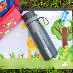 Sticla cu filtru pentru apa Philips GoZero Daily AWP2731GRR/58, 660 ml, 5-38°C, Tritan fara BPA, AWP285, Gri