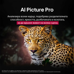 Smart televizor LG OLED55C51LA, 4K Ultra HD 3840 x 2160, 55", Clasa G, OLED, Dolby Vision, AI Upscaling, webOS, Negru