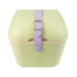 Geanta frigorifica Polarbox Pop, 12 litri, Polistiren AIRPOP, 5-15°C pana la 24 h, Verde/Violet