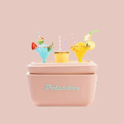 Geanta frigorifica Polarbox Pop, 12 litri, Polistiren AIRPOP, 5-15°C pana la 24 h, Violet/Portocaliu