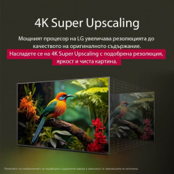 Televizor LG 43UA73003LA, 4K Ultra HD 3840 × 2160, 43″ (108 cm), Clasa G, LED, Smart TV, Upscaling AI, webOS, Negru