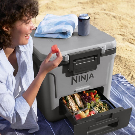 Cutie frigorifică Ninja FrostVault FB230EUGY, 28 l, pasivă, 48 de cutii, păstrează gheața până la 5 zile, compartiment uscat, roți, gri