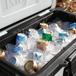 Lada frigorifica Ninja FrostVault FB265EUUKWH, 61,5 l, Pasiva, 97 doze, Pastreaza gheata pana la 6 zile, Compartiment uscat, Roti, Alba