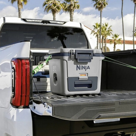 Lada frigorifica Ninja FrostVault FB131EUGY, 28 l, Pasiva, 48 doze, Pastreaza gheata pana la 5 zile, Compartiment uscat, Gri