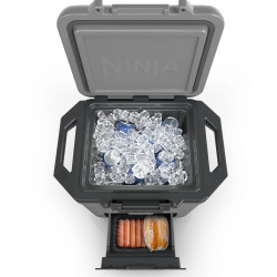 Lada frigorifica Ninja FrostVault FB131EUGY, 28 l, Pasiva, 48 doze, Pastreaza gheata pana la 5 zile, Compartiment uscat, Gri