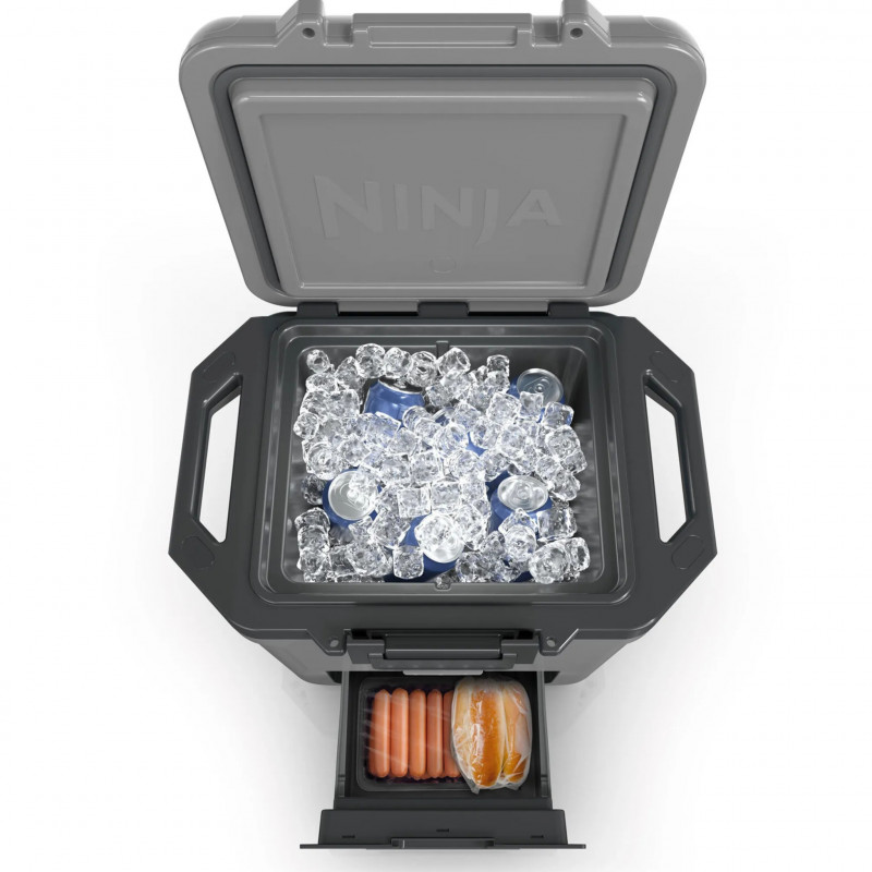 Lada frigorifica Ninja FrostVault FB131EUGY, 28 l, Pasiva, 48 doze, Pastreaza gheata pana la 5 zile, Compartiment uscat, Gri