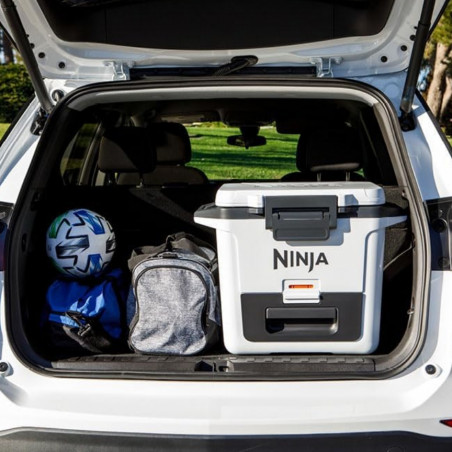 Lada frigorifica Ninja FrostVault FB131EUWH, 28 l, Pasiva, 48 doze, Pastreaza gheata pana la 5 zile, Compartiment uscat, Alb