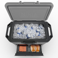 Lada frigorifica Ninja FrostVault FB151EUGY, 47 l, Pasiva, 80 doze, Pastreaza gheata pana la 6 zile, Compartiment uscat, Gri