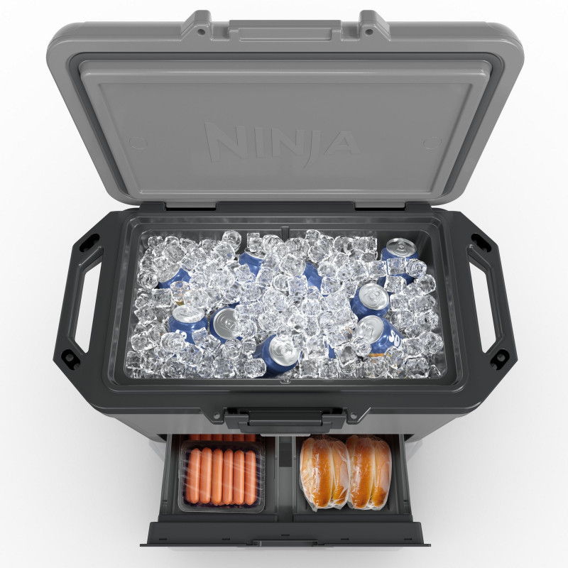 Lada frigorifica Ninja FrostVault FB151EUGY, 47 l, Pasiva, 80 doze, Pastreaza gheata pana la 6 zile, Compartiment uscat, Gri