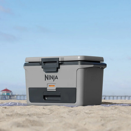 Lada frigorifica Ninja FrostVault FB151EUGY, 47 l, Pasiva, 80 doze, Pastreaza gheata pana la 6 zile, Compartiment uscat, Gri