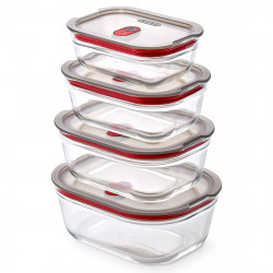 Set de 4 cutii pentru alimente Black+Blum Stack+Nest FBGR-BX-PACK4, 0,38/0,6/0,9/1,2 l, dreptunghiulare, potrivite pentru cuptor, fără BPA, oțel inoxidabil, gri/roșu