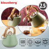 Ceainic cu fluier Klausberg KB 9062, 2,5 l, oțel inoxidabil, mâner care nu se încălzește, compatibil cu plitele cu inducție, verde