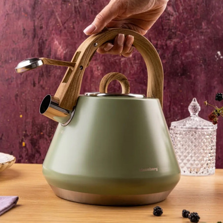 Ceainic cu fluier Klausberg KB 9062, 2,5 l, oțel inoxidabil, mâner care nu se încălzește, compatibil cu plitele cu inducție, verde