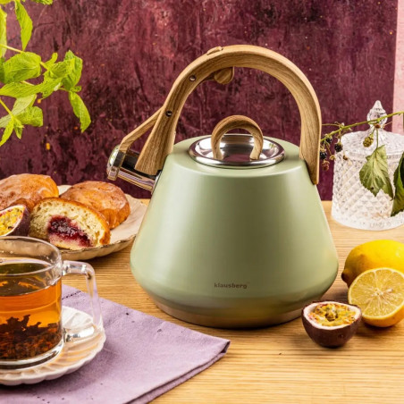 Ceainic cu fluier Klausberg KB 9062, 2,5 l, oțel inoxidabil, mâner care nu se încălzește, compatibil cu plitele cu inducție, verde