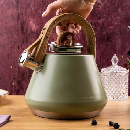 Ceainic cu fluier Klausberg KB 9062, 2,5 l, oțel inoxidabil, mâner care nu se încălzește, compatibil cu plitele cu inducție, verde